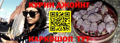 apvp Гусев